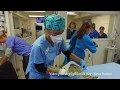 UF veterinarians perform groundbreaking electrochemotherapy on two Florida sea turtles