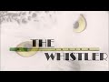 Harry Potter: Hedwig's Theme (Tin Whistle Cover)