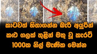 කාටවත් හිතාගන්න බැරි අයුරින් කළු ගලක් තුළින් මතු වූ කැරට් 1000ක නිල් මැණික මෙන්න