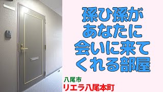 孫ひ孫があなたに会いに来てくれる部屋・3LDK【リエラ八尾本町】八尾市のリノベーション済中古マンション japanese apartment ㏌ osaka