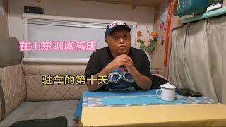 山东聊城高唐县，这里不仅有美食，还是中国锦鲤之都，书画之乡