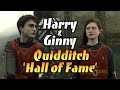 Harry & Ginny | Quidditch 'Hall of Fame'