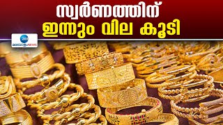 Gold Rate | ഒരു പവന്‍ സ്വര്‍ണത്തിന് 58,080 രൂപയായി,  7260 രൂപയാണ് ഒരു ഗ്രാം സ്വര്‍ണത്തിന്റെ വില