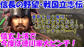 第10回　信玄上洛で今度は徳川家大ピンチ！（信長の野望・戦国立志伝）徳川家康