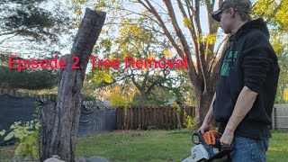 Bringing more daylight into the backyard! Episode 2 of house/property Renovations.