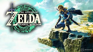 The Legend of Zelda: Tears of the Kingdom nintendo switch