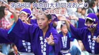 第38回 神奈川大和阿波踊り(ぎんざ粋狂連)