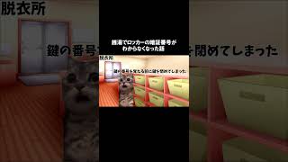 銭湯のロッカーの暗証番号がわからなくなった話#猫ミーム #猫ミーム日常 #猫 #猫マニ