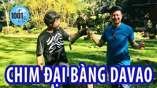 Đại Bàng Davao Lớn Nhất Thế Giới | Khám phá Davao, Philippines