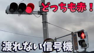 どっちも赤の押ボタン式信号機