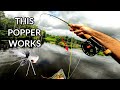 Fly Fishing for Bluegill and Bass with a Popper Fly