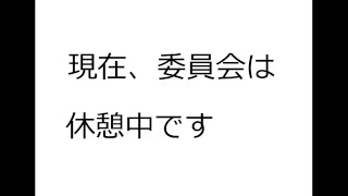 総務常任委員会（平成３１年３月４日①）