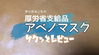 厚労省支給品布マスク アベノマスク サクッとレビュー