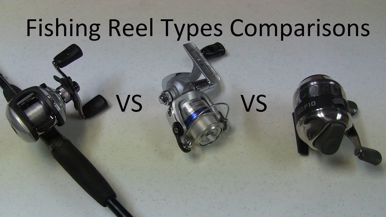 Casting Reel Vs Spinning Reel