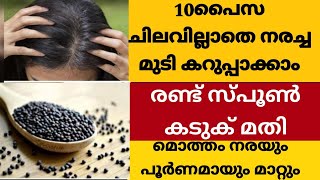 ഡൈ അടിക്കേണ്ട 10 പൈസ ചിലവില്ലാതെ എല്ലാ നരയും പൂർണമായും കറുപ്പിക്കാം Grey hair reversing