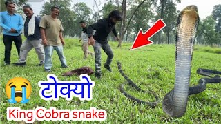 🐍 😭 King Cobra snake किंग कोब्रा सर्प समाउँदा भयो ठूलो घटना Murliwale hausala in Nepal