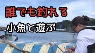 【堤防】誰でも簡単に釣れる小魚と遊ぶ！その場で即席仕掛けを作って釣りをしました