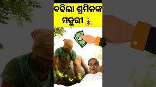 ମୁଖ୍ୟମନ୍ତ୍ରୀଙ୍କ ଘୋଷଣା: ବଢିଲା ଶ୍ରମିକଙ୍କ ସର୍ବନିମ୍ନ ମଜୁରୀ #odia #labour #information #pricehike #odisha