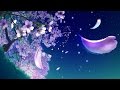 Beautiful Chinese Music - Night Flowers