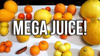 MEGA JUICE - I Mixed 25 Citrus Juices Together - Weird Fruit Explorer