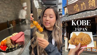 Kobe, Japan Food Vlog | Kobe for lunch and dinner, Kobe vs. Wagyu 🥩
