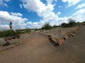 Mashatu Euphorbia Lodge Botswana