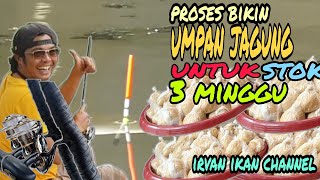 Ngintip Proses Pembuatan Umpan Jagung Untuk Stok TIGA Minggu