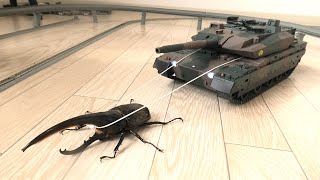 ヘラクレスオオカブトに戦車を引かせた結果...