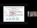 Google Meet CHM096 Lecture S31 & S32 Subtopic 3.5 (Titration)