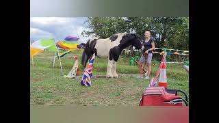 International Horse Agility - Walk Only Advanced OLHA  - July2023