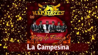 Kapatazes del Amor - La Campesina (Audio)