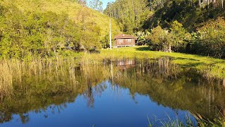 Living in South Brazil 🇧🇷 Rural property for sale in santa Catarina.