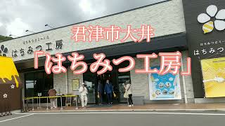 君津市大井にある「はちみつ工房」に行って来ました‼️ソフトクリームに色々なはちみつかけて美味しかった🤩