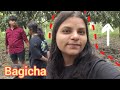 Nani Ghar KA BaGicha 🥰😊 #nanighar | #vlog | #bagicha | #summertime | #litchi