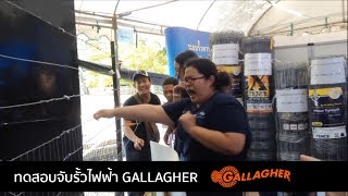 ถ้าโจรขึ้นบ้านแล้วเจอรั้วกันขโมยจะเป็นอย่างไร? #ทดสอบจับรั้วไฟฟ้า GALLAGHER