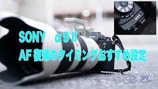 SONY α９Ⅱ AF復帰　撮影おすすめ設定