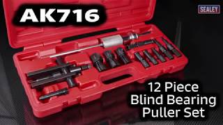 Sealey 12 Piece Blind Bearing Puller Set - AK716