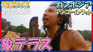 【コロナ渦中】アンコールワット遺跡探訪#08象のテラスとアンコールトムのゲート☆カンボジア旅行記#21 ひとり旅