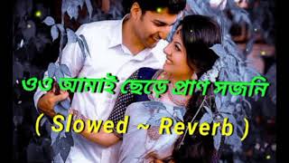 ও আমাই ছেড়ে প্রাণ সজনি যাইবা কোন খানে (Slowed ~ Reverb)বাসর ঘরে আর আমারে দিওনা জ্বালা #slowedreverb