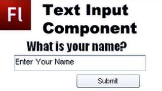 Flash Tutorial: The Text Input Component -HD-