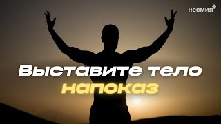 Выставите тело напоказ | Денис Малютин | \