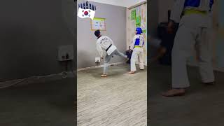 Korean vs Indian Fighters #shorts #taekwondo #devtkd