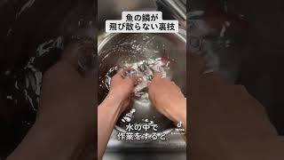 シンプルだけど凄い！魚の鱗の飛び散らない落とし方