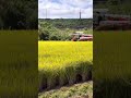 Japanese farmer at Ibarakiken