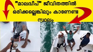 മാലദ്വീപ് ജീവിതത്തിൽ ഒരിക്കല്ലെങ്കിലും കാണേണ്ട സ്ഥലം | Fishing At Maldives | Maldives Fish Hunting