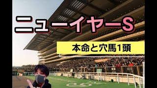 【ニューイヤーS2022】本命馬と穴馬1頭紹介！