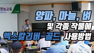 양파 재배 기술 4