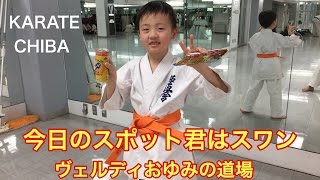 ヴェルディおゆみの道場 今日のスポット君はスワン！千葉 緑区 少年少女空手