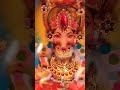 @Home  Amavasya special 🙏🙏Sri Devi Varahi Amman pooja video in Short's 🙏🙏Amman blessings to all🙏