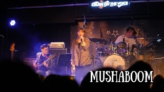 170325 이예솔 (Yesol Lee) - Mushaboom (Feist)